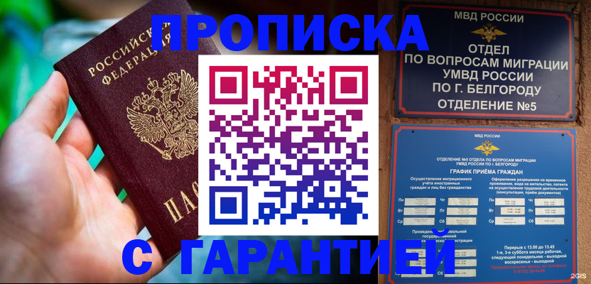 прописка для работы в Коле